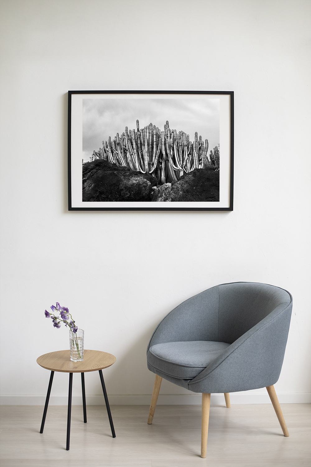 Cactus, Lanzarote, fotografía en blanco y negro. Foto de autor. Simulación de interior.